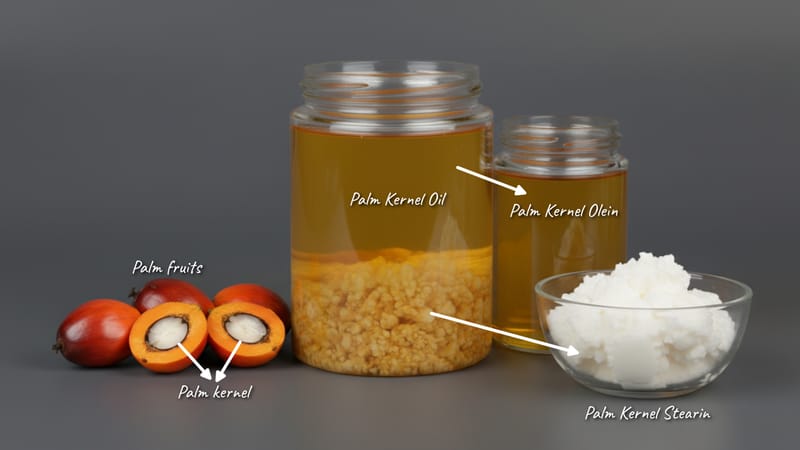 Palm Kernel Olein – wholesale edible oil and wax product from Bio Green Fuels